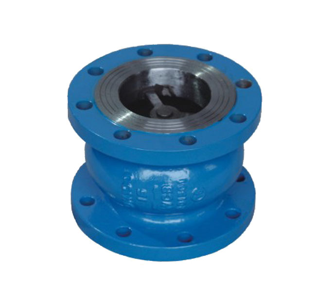 铸钢消声止回阀